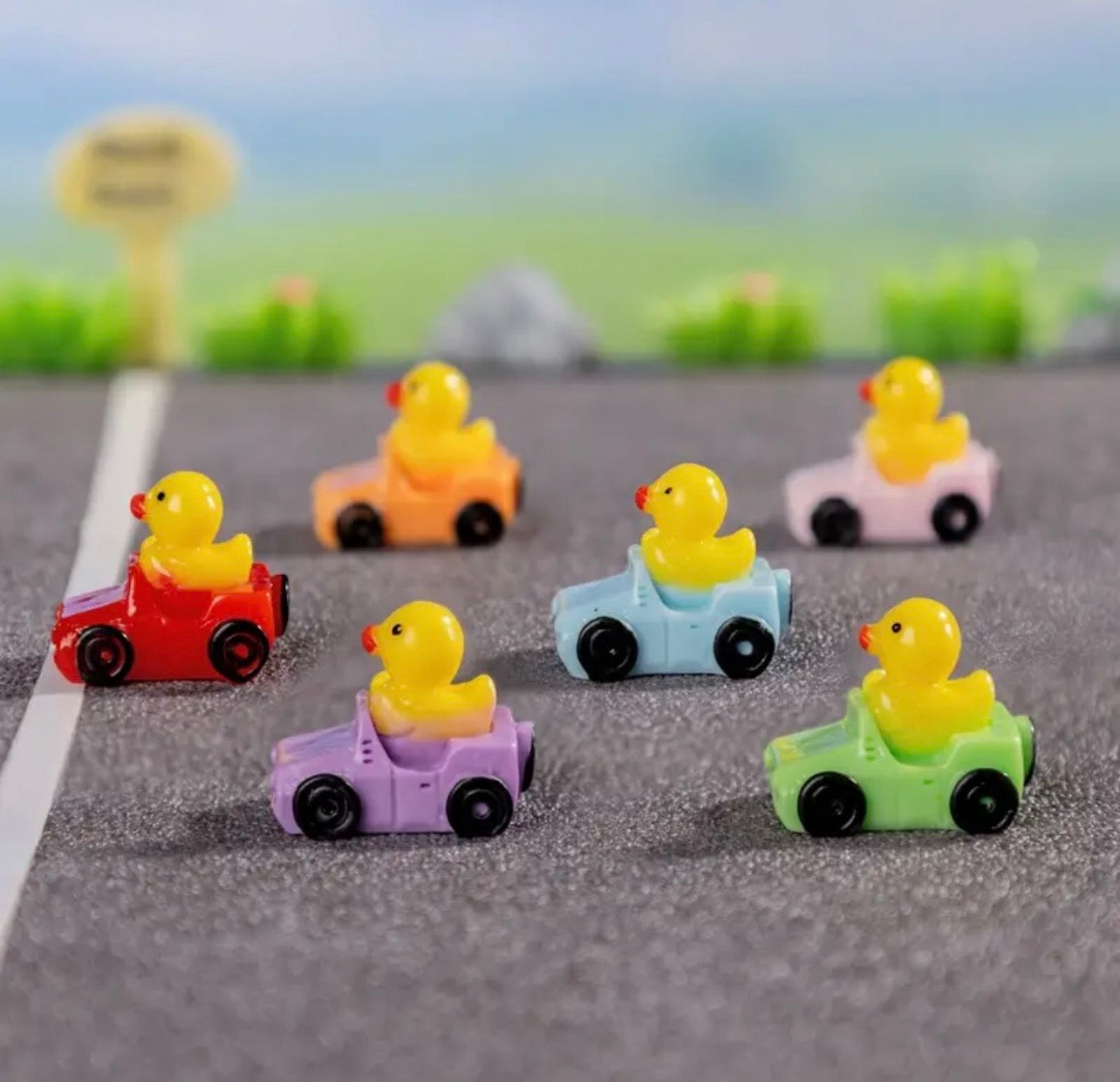 Resin Mini Car Ducks