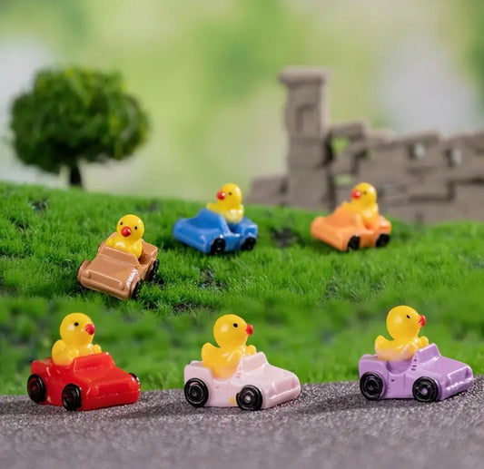 Resin Mini Car Ducks