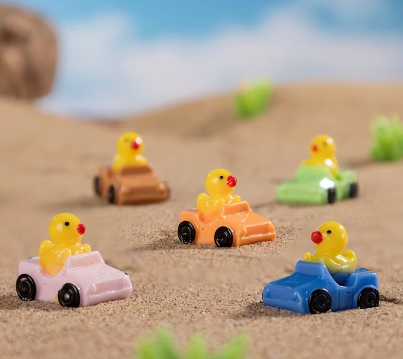 Resin Mini Car Ducks
